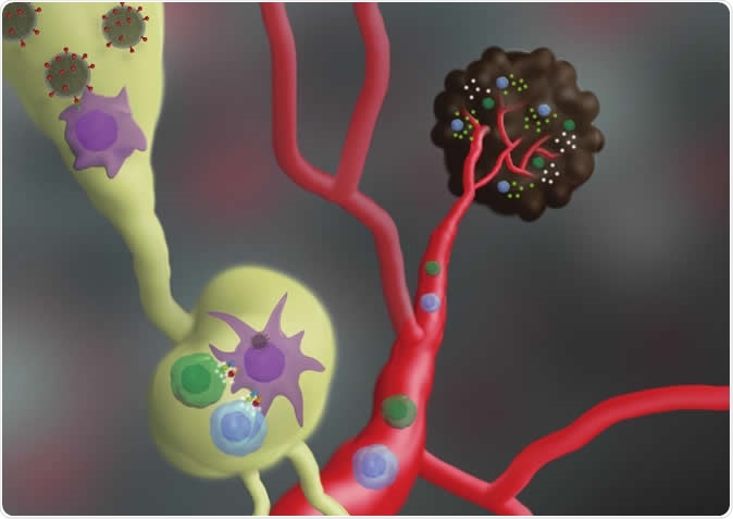 Nano-vaccine mechanism of action: following injection, the nano-vaccine internalizes into immune cells, leading to activation of T cells to recognize and attack melanoma. Image Credit: Professor Carmit Levy/AFTAU