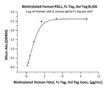FGL1 Protein Characterization for Cancer Detection