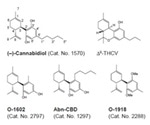 Cannabinoid Receptor Pharmacology