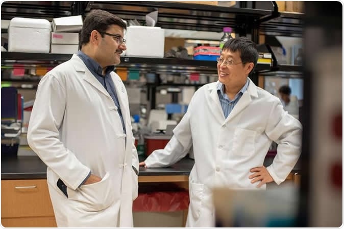 Long-time Medical University of South Carolina collaborators Dr. Shikhar Mehrotra (left) and Dr. Xue-Zhong Yu (right) author papers showing that a natural antioxidant can modulate T cell activity in cancer immunotherapy and graft-vs.-host disease, respectively. Image Credit: Emma Vought, Medical University of South Carolina