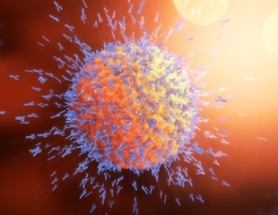 Structural study identifies target for broad-spectrum antivirals against herpesviruses