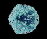 Virologists make major step towards understanding the process of HIV infection