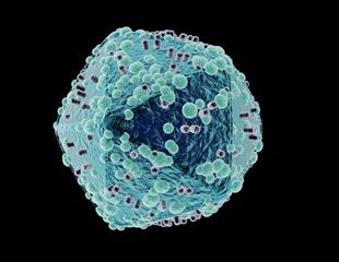 New measurable indicator could prove instrumental in fight against HIV