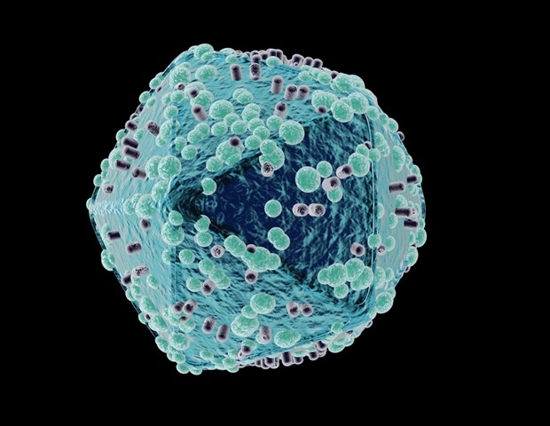 Study traces the origin and spread of HIV in Indonesia