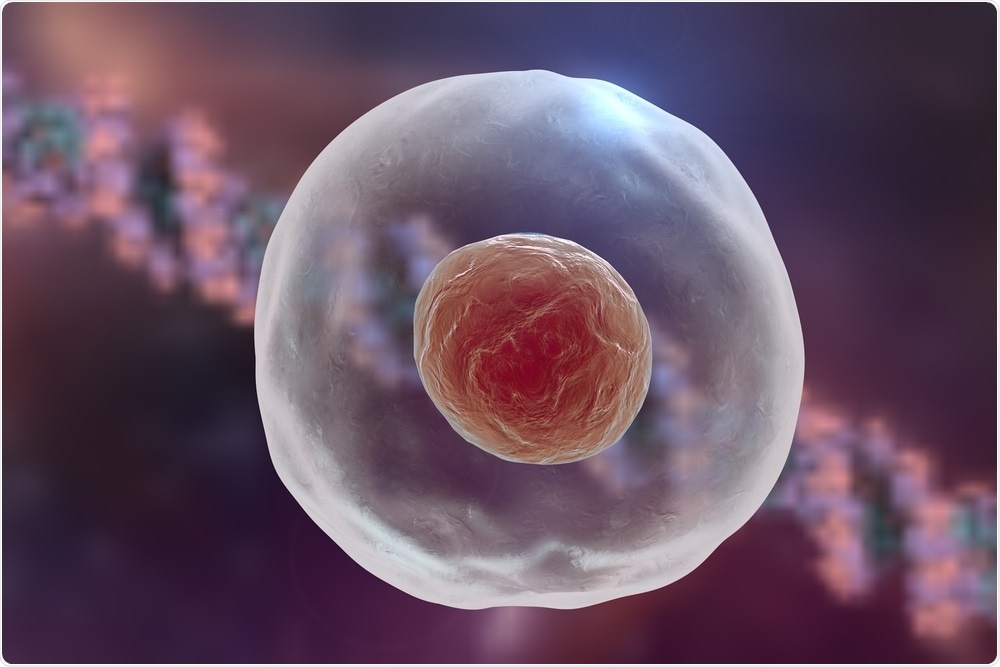 Much genetic information remains to be interpreted. This image shows a cell with protein in the background.