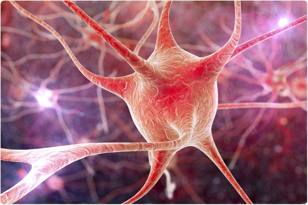 Neurons are damaged in ALS