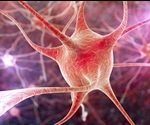 Fungus used in traditional medicine could slow neuron loss in ALS