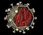 Hairpin-shaped mimetics imitate the helical protein that plays a role in the spread of HIV