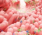 Genetically tweaking gut bacteria reduces risk of colorectal cancer in mice finds study