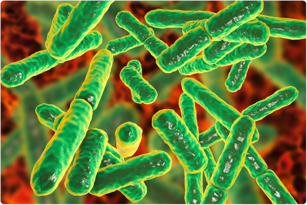 Bacteria form a major part of the microbiome.
