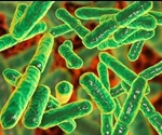 Genetics may influence the composition of the microbiome more than environmental factors