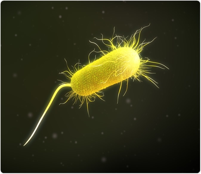 3D illustration of a pseudomonas aeruginosa bacteria. Image Credit: Supergalactic / Shutterstock