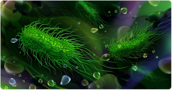 Green rod-shaped Salmonella bacteria. Image Credit: Studiovin / Shutterstock
