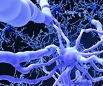 Schwann cells capable of generating protective myelin over nerves finds research