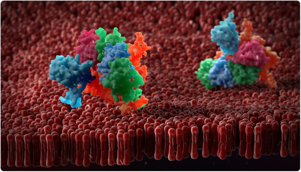 Image showing proteins on the cell surface, which can be analyzed using NMR spectroscopy.