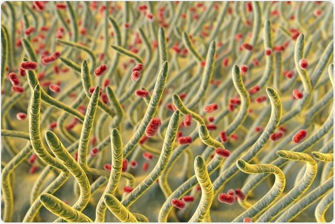 Klebsiella pneumoniae bacteria in respiratory tract, 3D illustration showing cilia of respiratory tract and bacteria. Image Credit: Kateryna Kon / Shutterstock