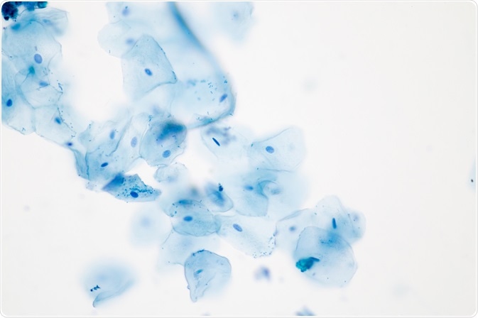 Biological sample stained blue