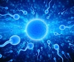Receptor in the uterus can detect sperm molecule, aids in sperm survival