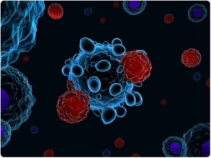 3d illustration of immune system T cells attacking cancer cells (CAR T-cell therapy). Image Credit: Meletios Verras / Shutterstock