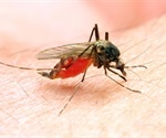 Mosquito surveillance in Madagascar reveals new insight into malaria transmission