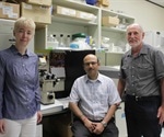 Discovery of protein that may be key to treating tropical diseases