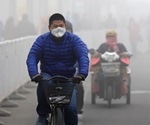 Global air pollution linked to increased emphysema cases