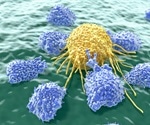 Researchers find a weak spot in cancer cells