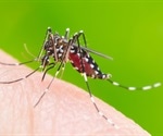 Studying human behavior might help curb mosquito-borne illness