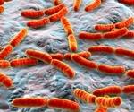 Does the Microbiome Interact with the Human Endocrine System?