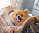 Use of emotional support animals growing in popularity