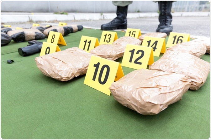 Police officer standing guard over seized cannabis packages. Image Credit: Wellphoto / Shutterstock
