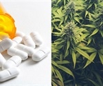 Using cannabis and opioids for pain increases mental health issues