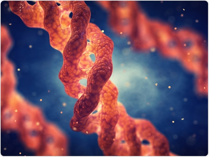 Collagen triple helix molecule. Credit: nobeastsofierce / Shutterstock