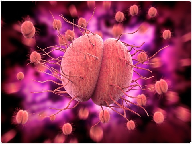 Bacteria Neisseria gonorrhoeae - 3D illustration Credit: Giovanni Cancemi / Shutterstock