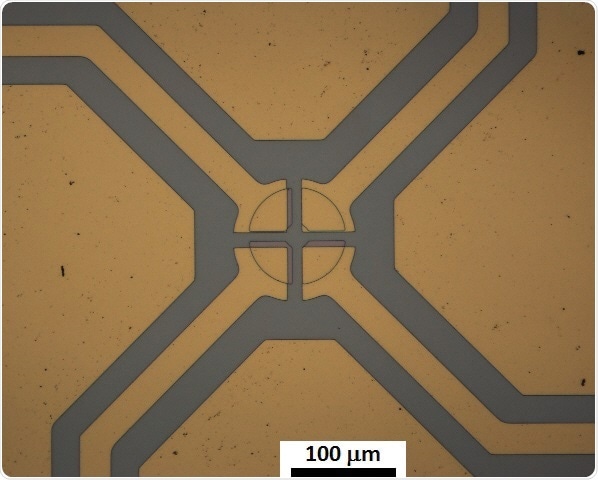 Microscope image of a fabricated sensor.