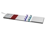 Scientists propose new way to enhance sensitivity of lateral flow tests