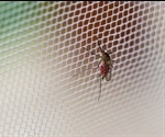 Graphene-lined fabric could slow the spread of malaria