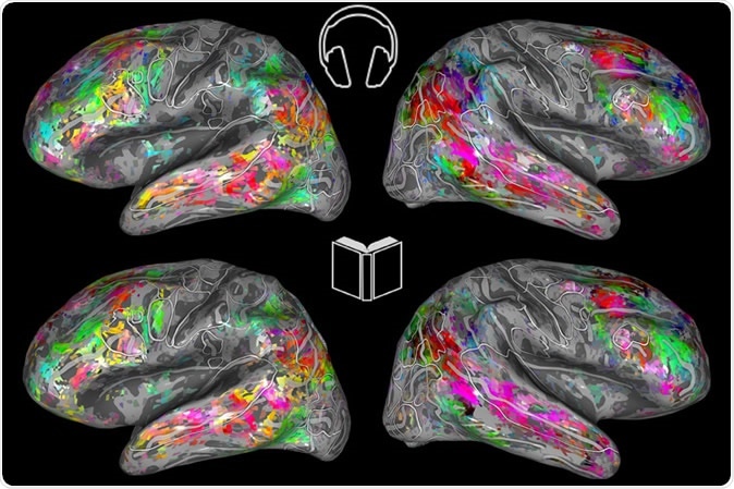 Color-coded maps of the brain show the semantic similarities during listening (top) and reading (bottom). (Image by Fatma Deniz)