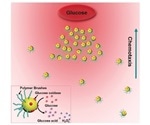 Scientists redesign chemotaxis by creating artificial nanoswimmers from gold nanoparticles