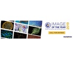 Olympus launches first Global Image of the Year Life Science Light Microscopy Award