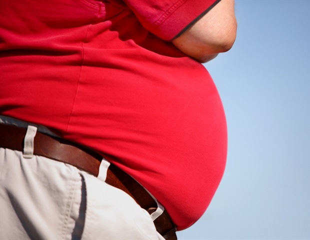 Research explores how moms' obesity reprograms babies