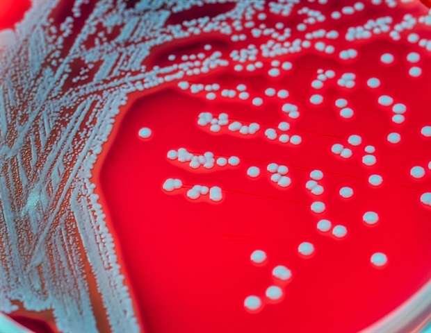WHO updates Bacterial Priority Pathogens List to combat antimicrobial resistance
