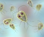 Water treatment could protect 800 million from Giardia infections