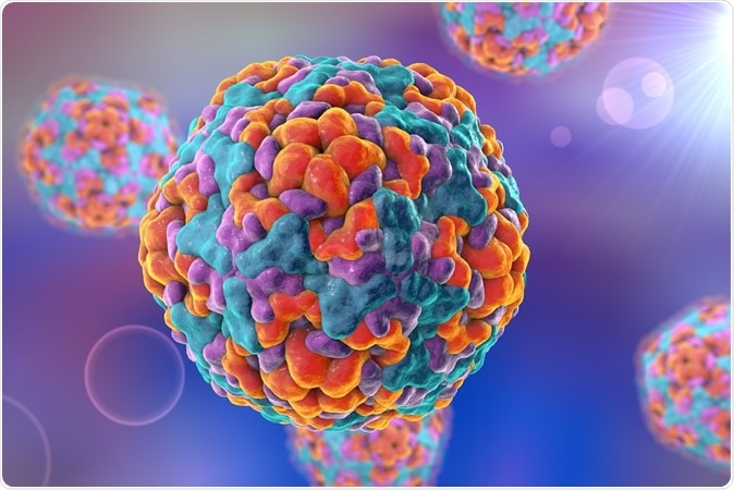 Illustration of Enterovirus D68 which causes respiratory infections in children. Image Credit: Kateryna Kon / Shutterstock