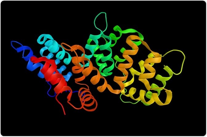 Annexin 2 protein for ESR