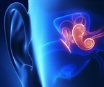 The ear's sensitivity to sound is controlled by outer hair cells