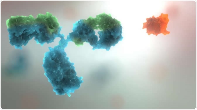 The image shows an antibody (Blue object) and affimer (orange object) to demonstrate the size and complexity differences. Image Credit: Avacta Life Sciences