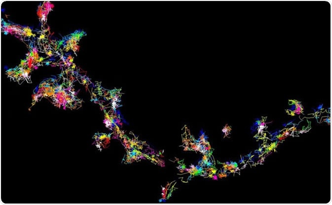 The signalling protein Fyn moving and forming clusters in living brain cells - viewed using super-resolution microscopy. Image Credit: Meunier Lab, University of Queensland