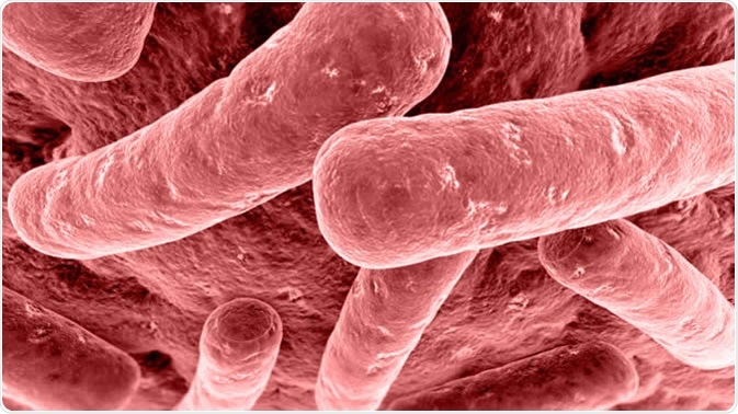 Botulism is a potentially fatal condition that is caused by a bacterium called Clostridium botulinum.