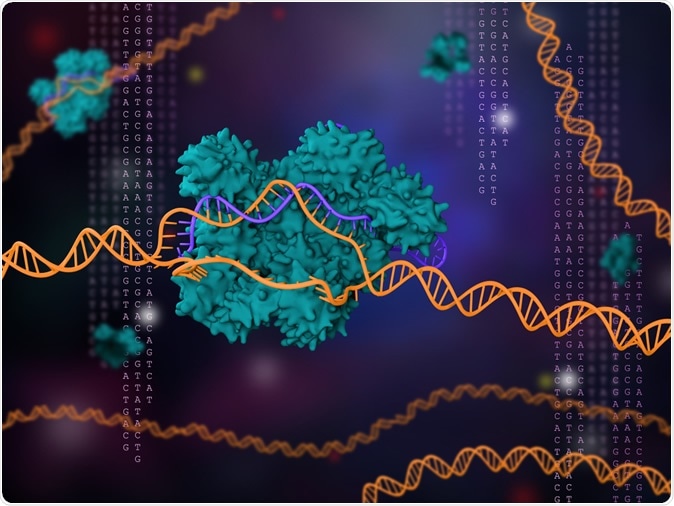 3d illustration of CRISPR-Cas9 technology - Image Credit: Meletios Verras / Shutterstock